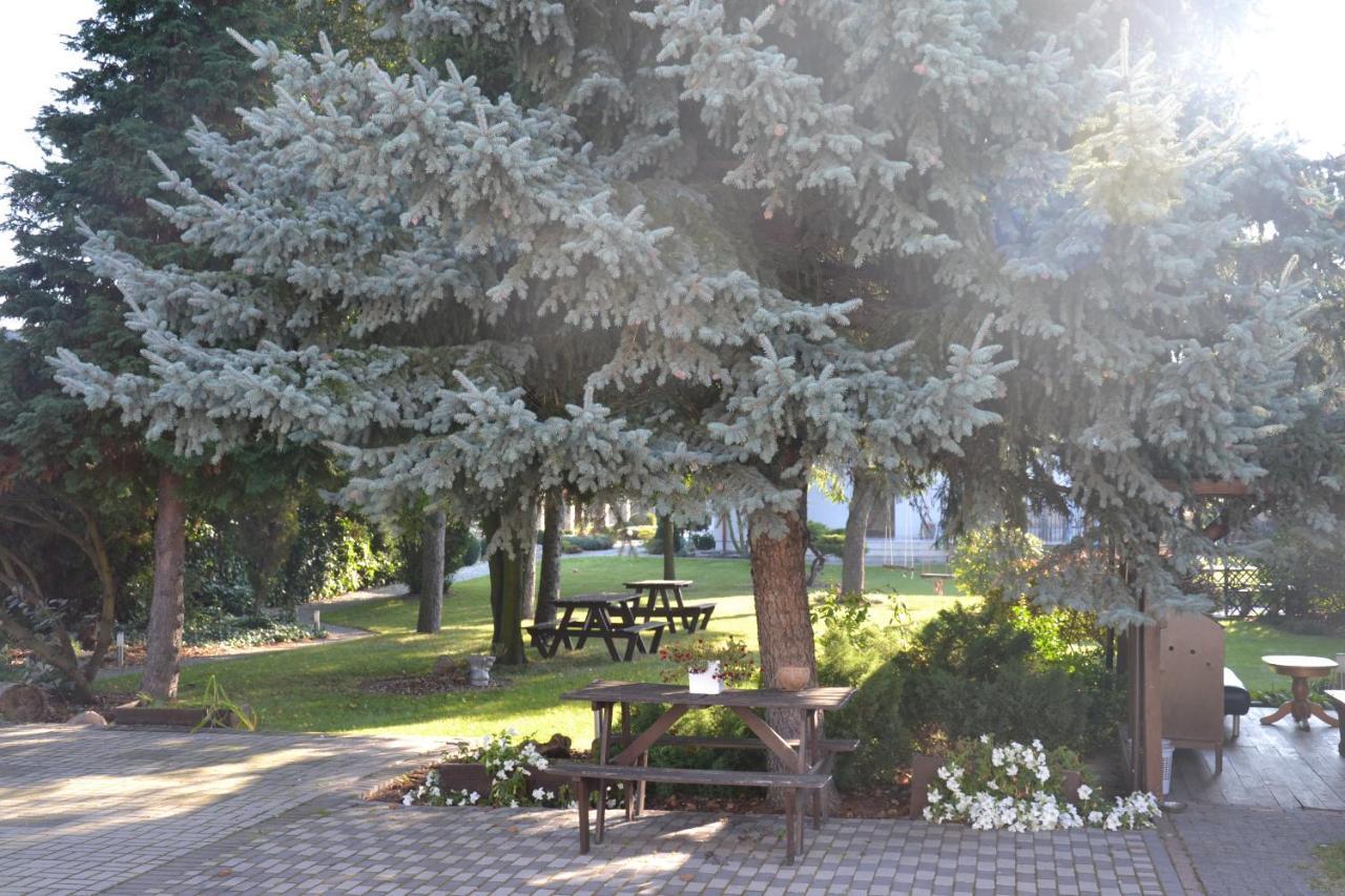 Pokoje Kalisz Εξωτερικό φωτογραφία